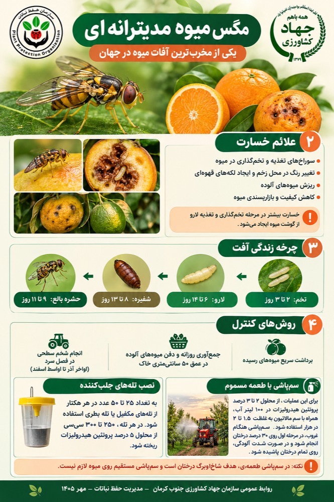 اطلاعیه فنی مگس میوه مدیترانه ای 